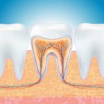 ENDODONZIA a Bergamo e Azzano san Paolo