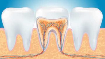ENDODONZIA a Bergamo e Azzano san Paolo