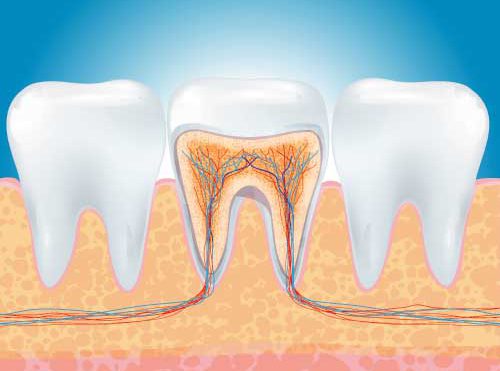 ENDODONZIA a Bergamo e Azzano san Paolo